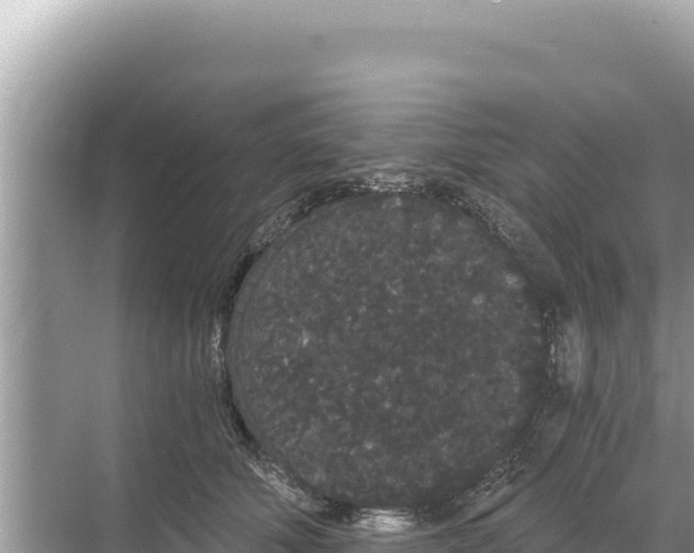 X0000068260610200605051751