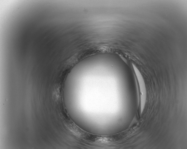 X0000068260611200605051751