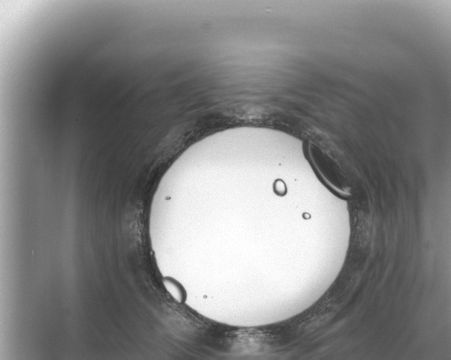 X0000068260612200605051751