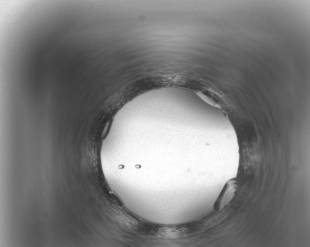 X0000068260613200605051751