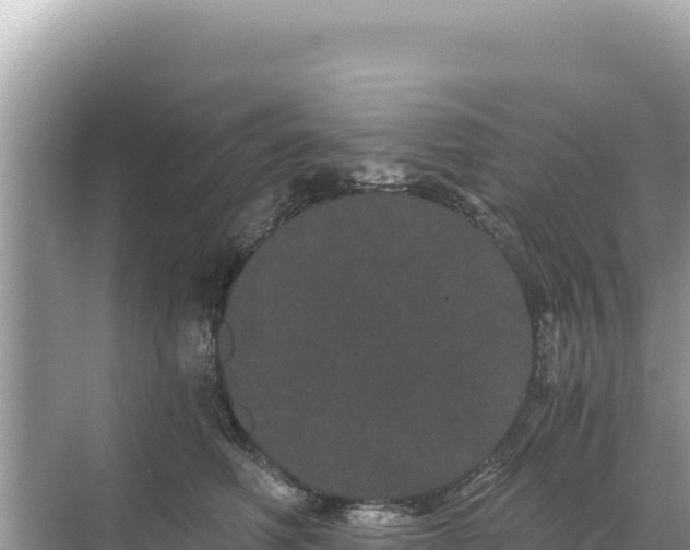 X0000068260614200605051751