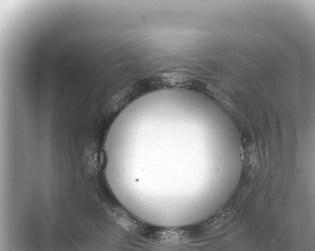 X0000068260615200605051751