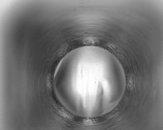 X0000068260616200605051751