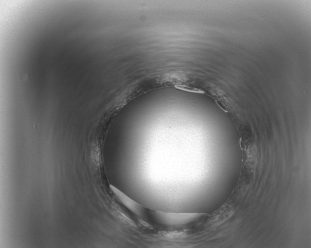 X0000068260617200605051751