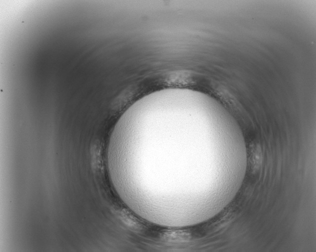 X0000068260619200605051751