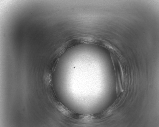 X0000068260621200605051751