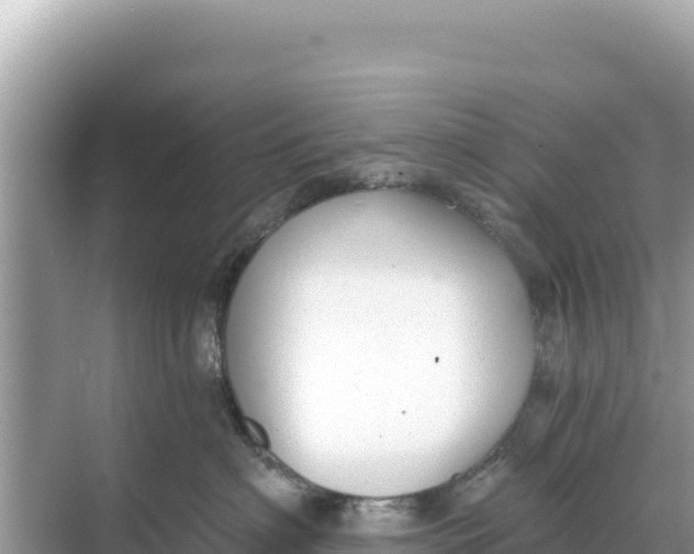 X0000068260622200605051751