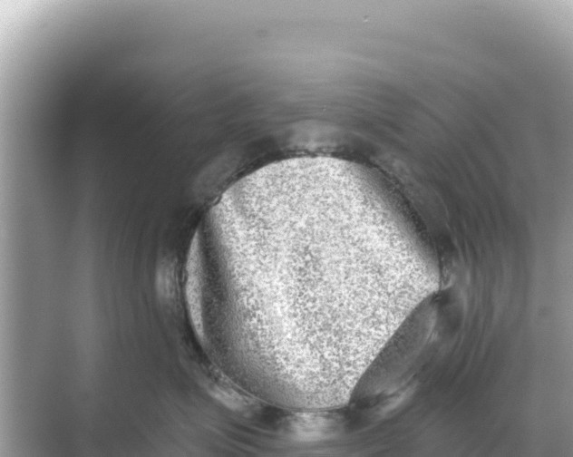 X0000068260623200605051751