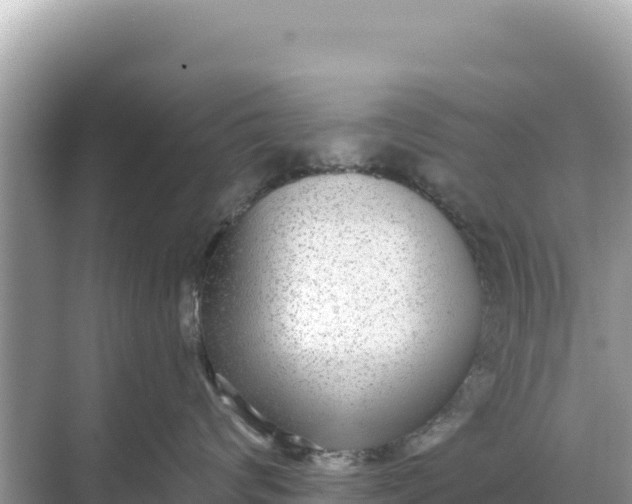 X0000068260624200605051751