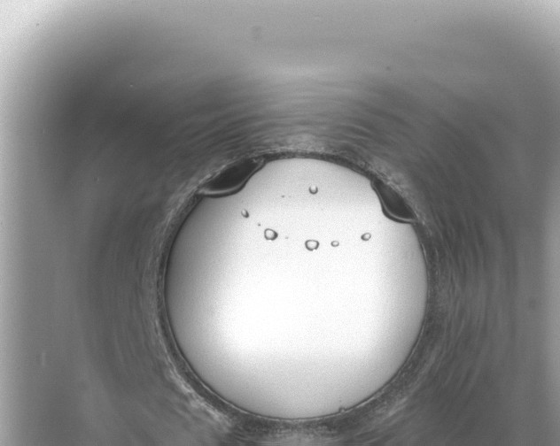 X0000068260625200605051750