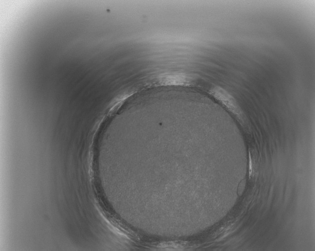 X0000068260627200605051750