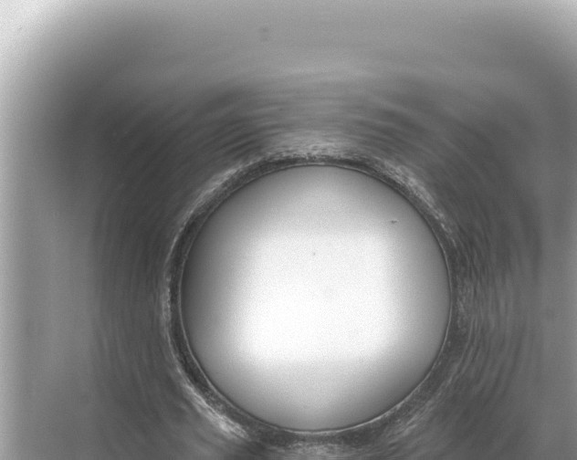 X0000068260629200605051750