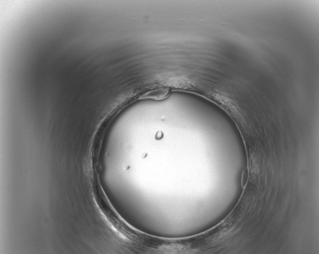 X0000068260630200605051750