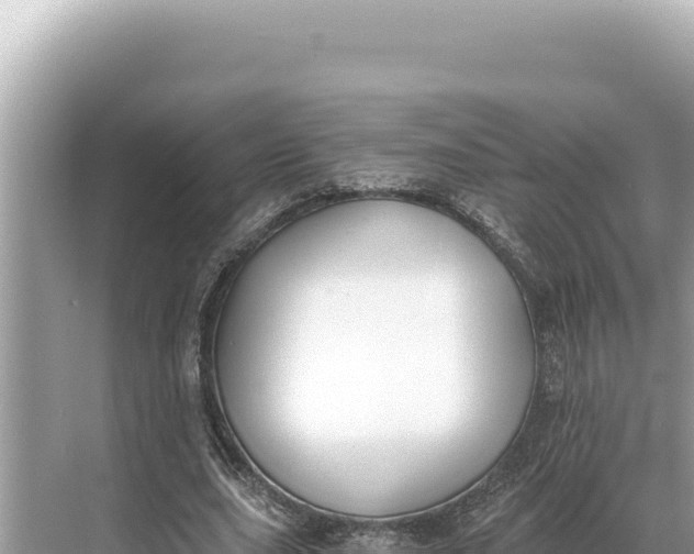 X0000068260631200605051750