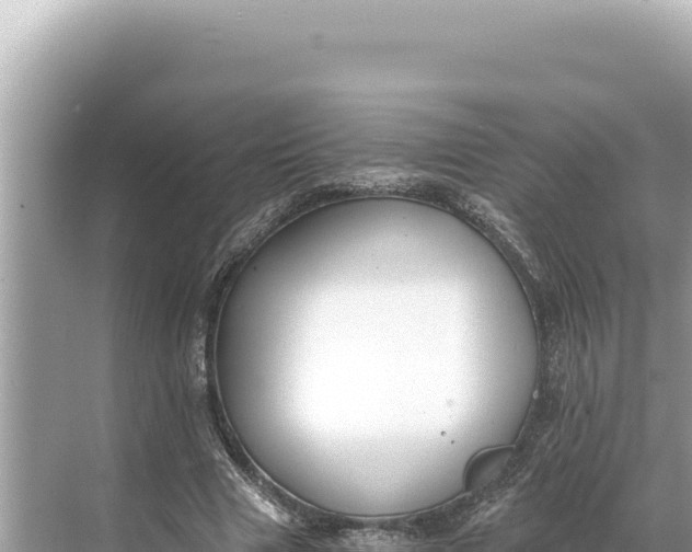 X0000068260633200605051750