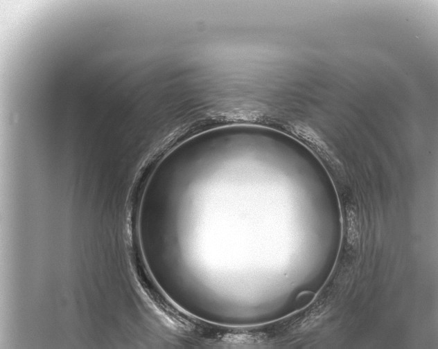 X0000068260634200605051750