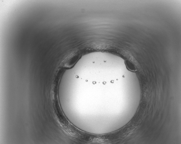 X0000068260635200605051750