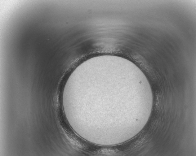 X0000068260636200605051750