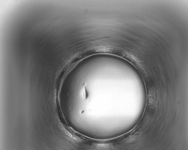 X0000068260637200605051750