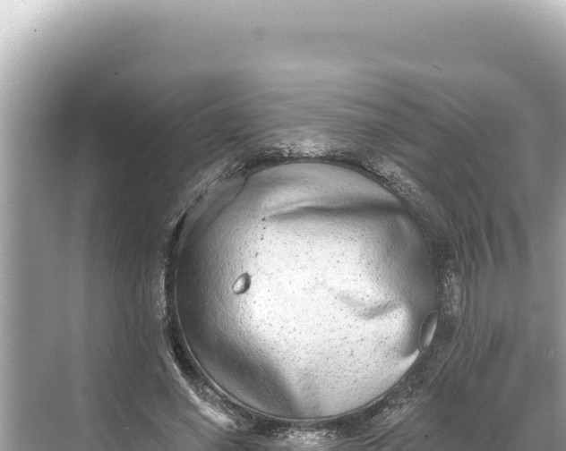 X0000068260638200605051750