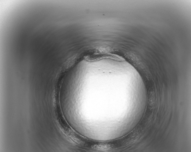 X0000068260639200605051750