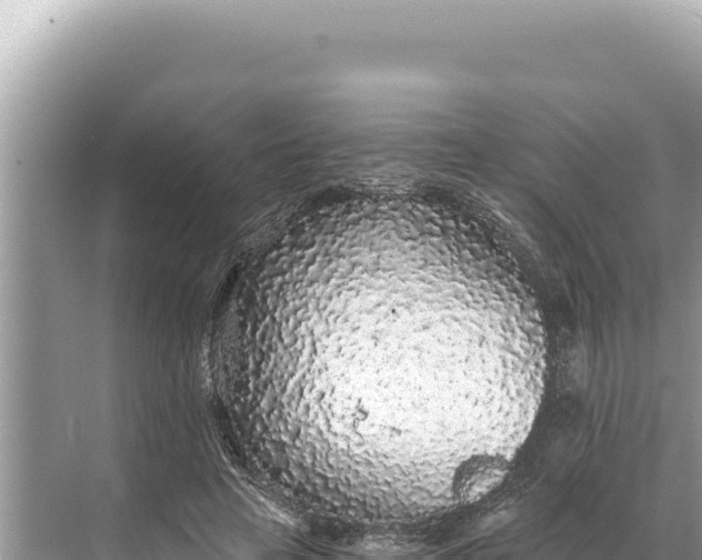 X0000068260641200605051750