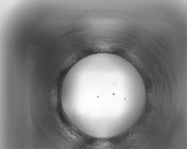 X0000068260642200605051750