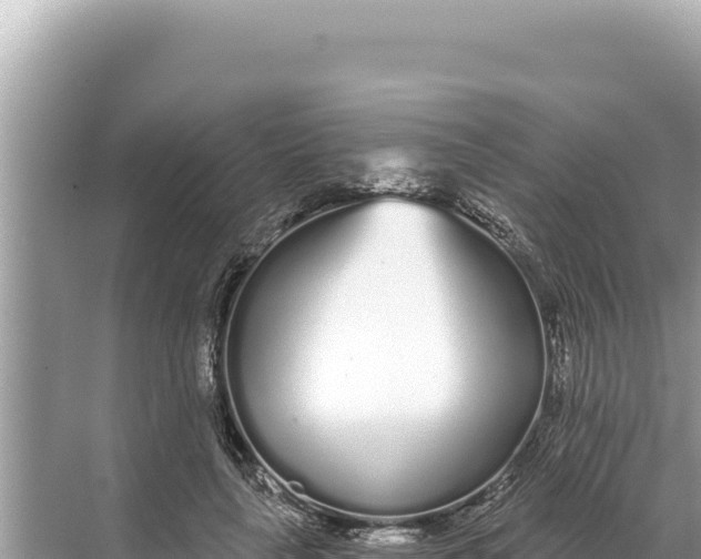 X0000068260643200605051750