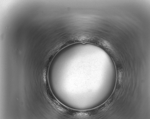 X0000068260644200605051750