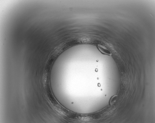 X0000068260645200605051750