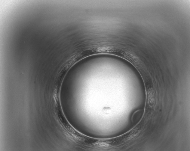 X0000068260648200605051750