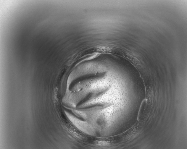 X0000068260649200605051750