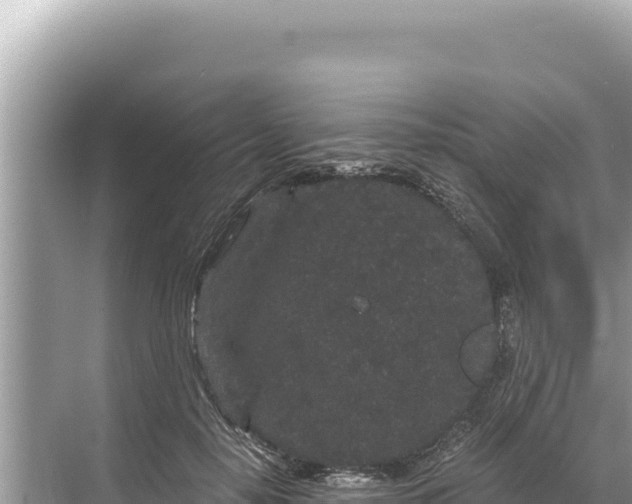 X0000068260650200605051750