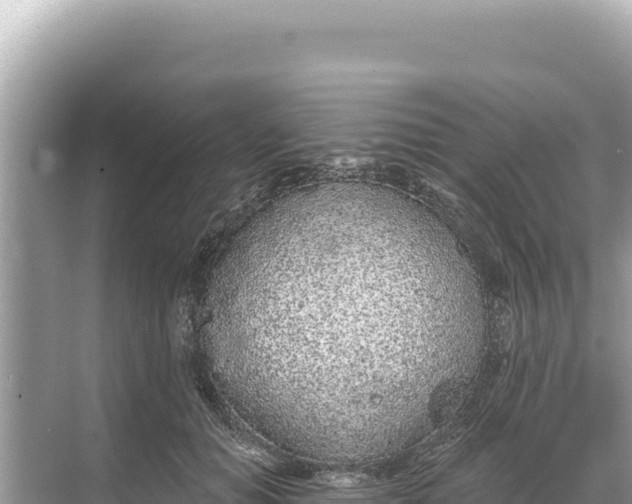 X0000068260654200605051750