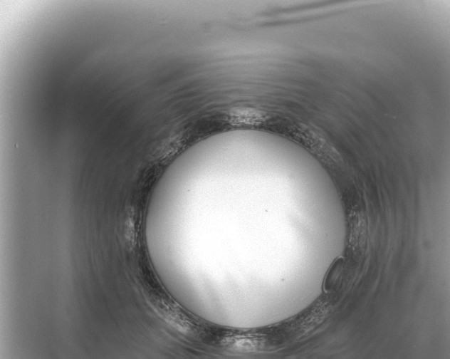 X0000068260655200605051750