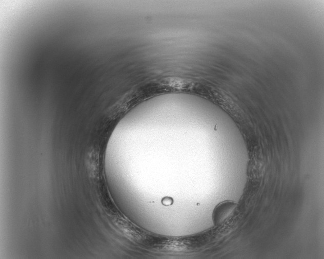 X0000068260656200605051750