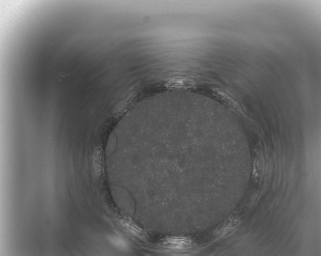 X0000068260659200605051750