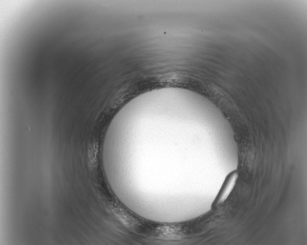 X0000068260660200605051750