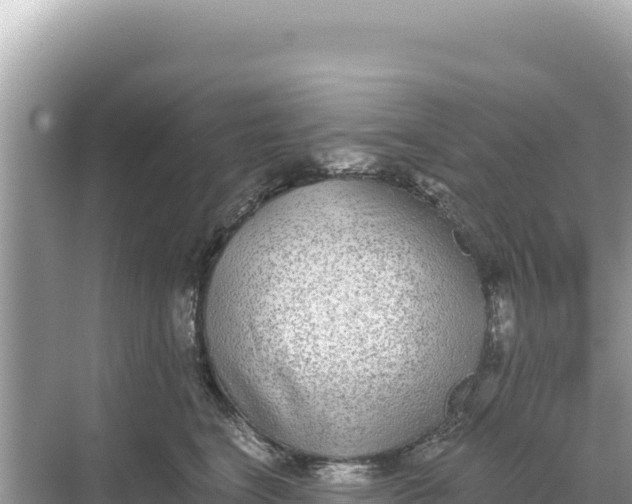 X0000068260664200605051750