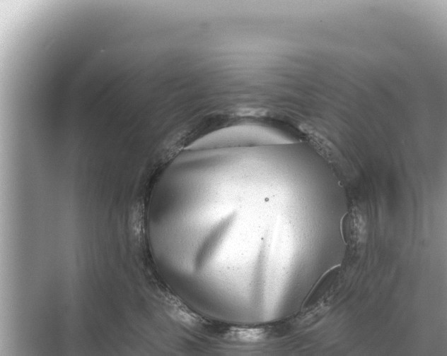 X0000068260665200605051750