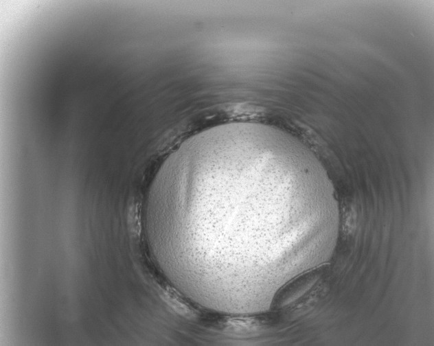 X0000068260666200605051750