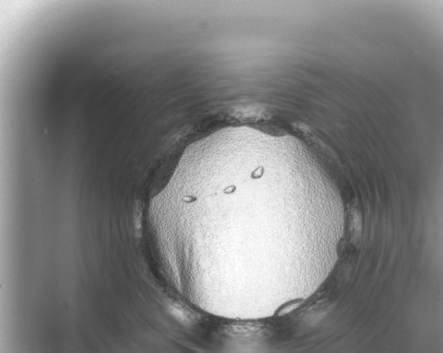 X0000068260668200605051750