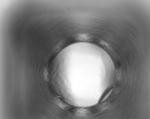 X0000068260669200605051750