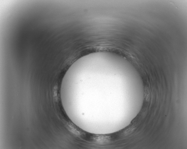 X0000068260670200605051750