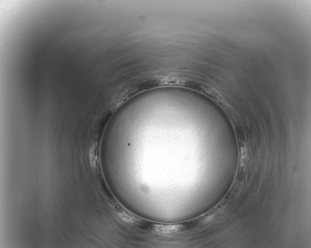 X0000068260671200605051750