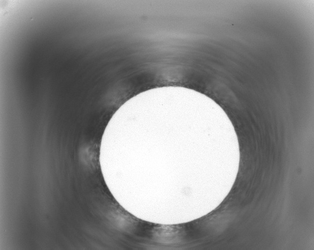 X0000068260672200605051750