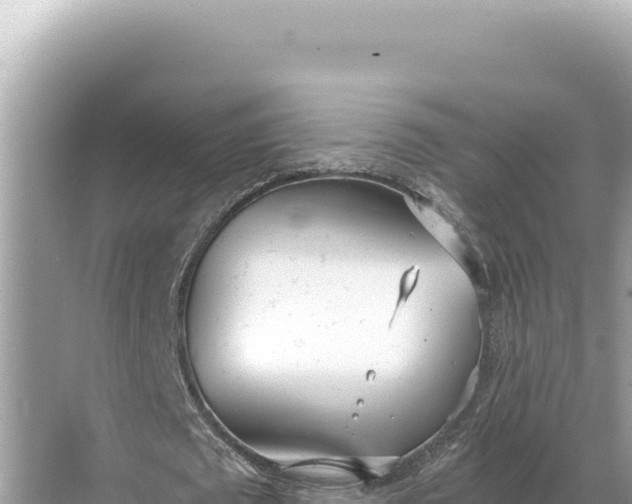 X0000068260673200605051750