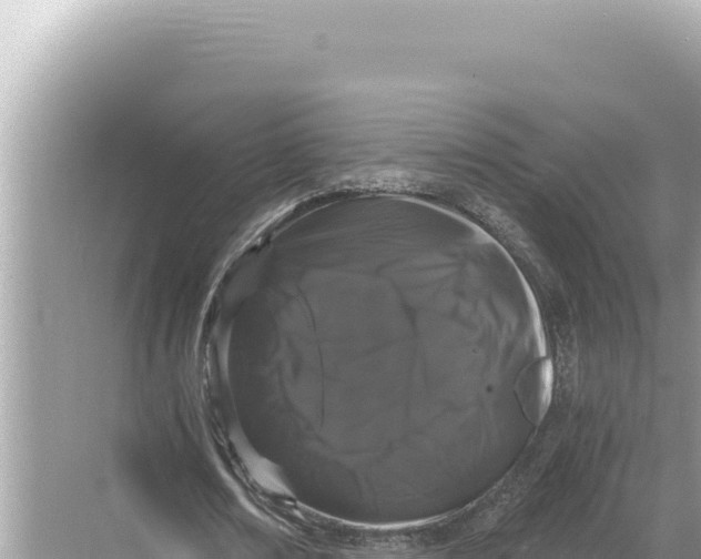 X0000068260674200605051750