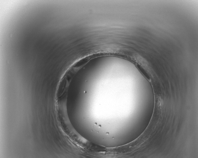 X0000068260676200605051750