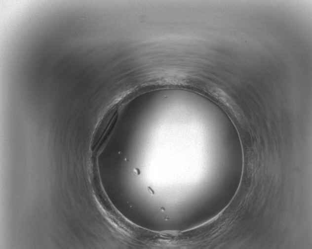 X0000068260677200605051750